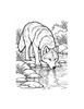 Ausmalbild Wolf trinkt am Bach