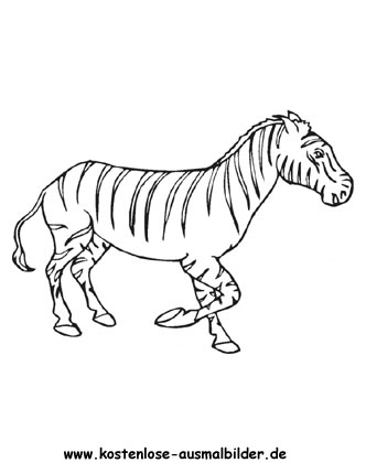 Ausmalbild Zebra 5