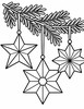 Ausmalbild Drei Weihnachtssterne am Tannenzweig