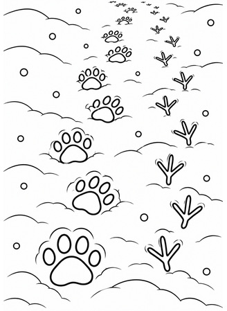Ausmalbild Tierspuren im Schnee