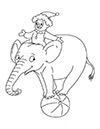 Ausmalbild Zirkus Elefant zeigt Kunststücke
