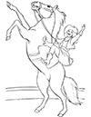 Ausmalbild Zirkuspferd mit Reiterin