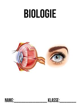 Deckblatt Biologie Deckblatt Auge