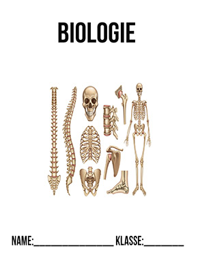 Deckblatt Biologie Deckblatt Skelett