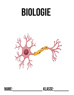 Deckblatt Biologie Deckblatt Stammzelle