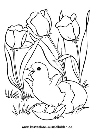 Küken zu Ostern