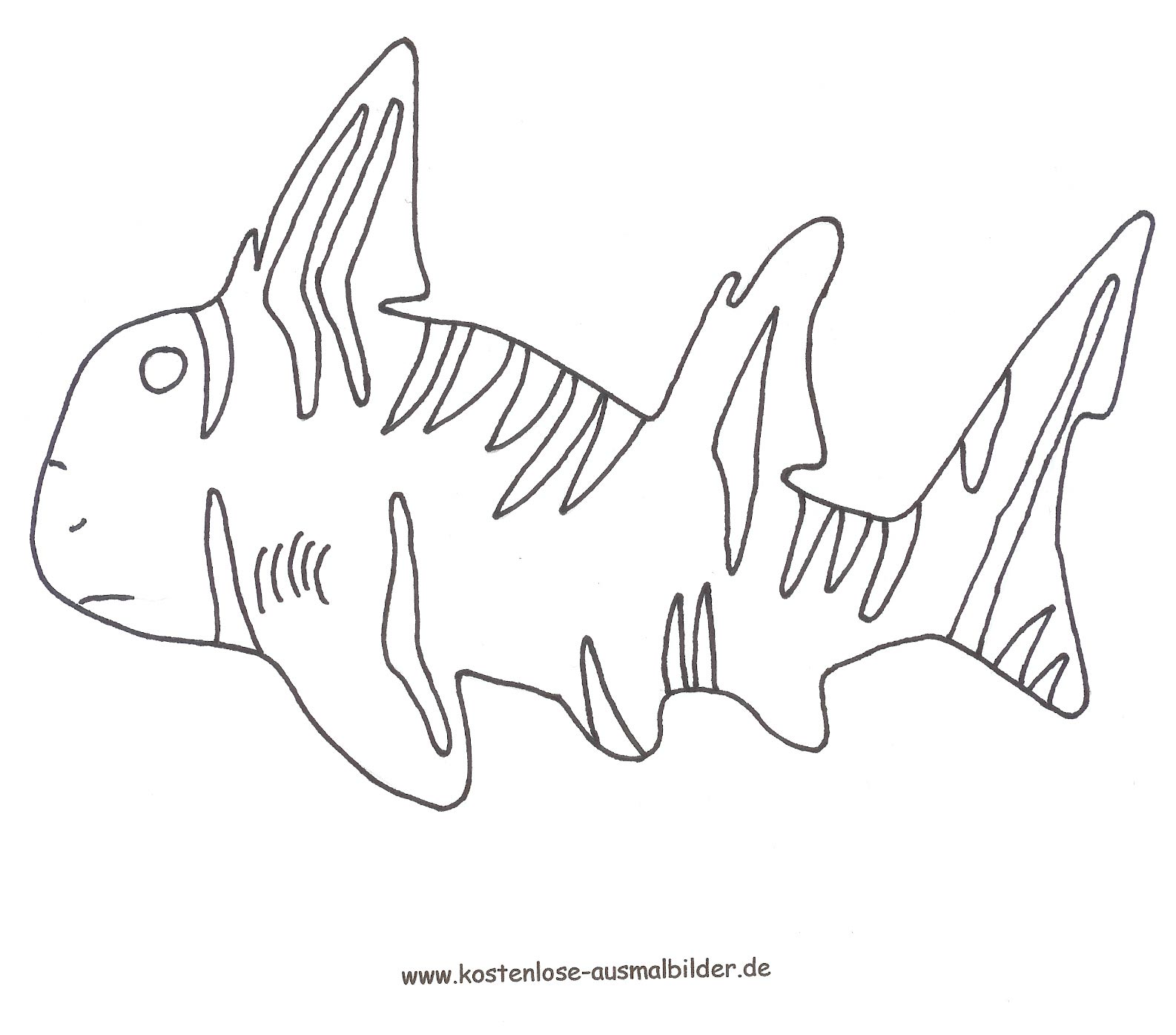 malvorlagen  ausmalbilder zebrastierkopfhai