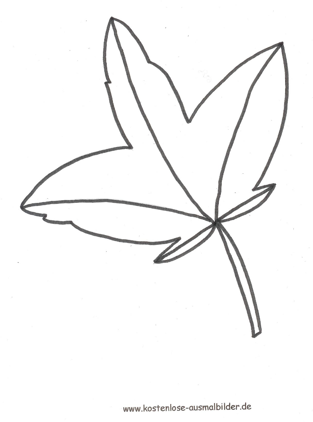 Urwald Blätter Zum Ausmalen