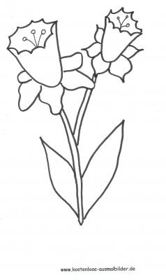 Blumen ausmalen