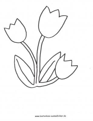 Malvorlagen Ausmalbilder Tulpen Ausmalbilder Blumen