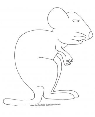 ausmalbild Kurzschwanzkänguru