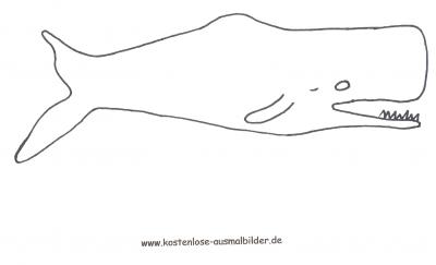 Pottwal zum Ausmalen