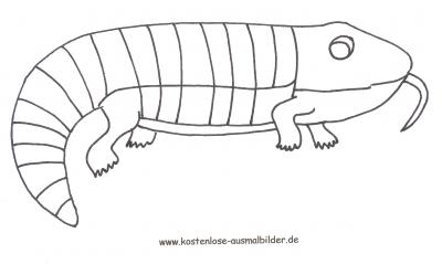 Ausmalbild Blauzungenechse