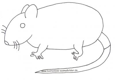 Ausmalbild Ringbeutler