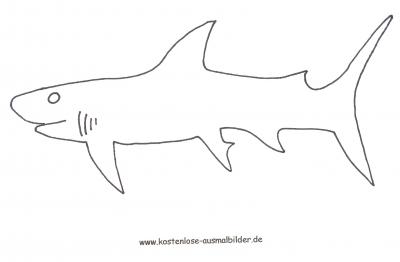 Weißer Hai als Ausmalbild