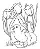 Ausmalbilder Blume und Küken