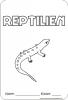 Deckblatt Reptilien