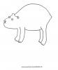 Wombat Ausmalbild