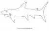Weißer Hai als Ausmalbild
