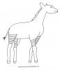 Ausmalbild Okapi