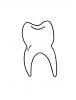 Malvorlage Zahn